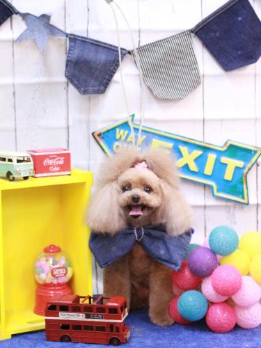 20230411麦ちゃん